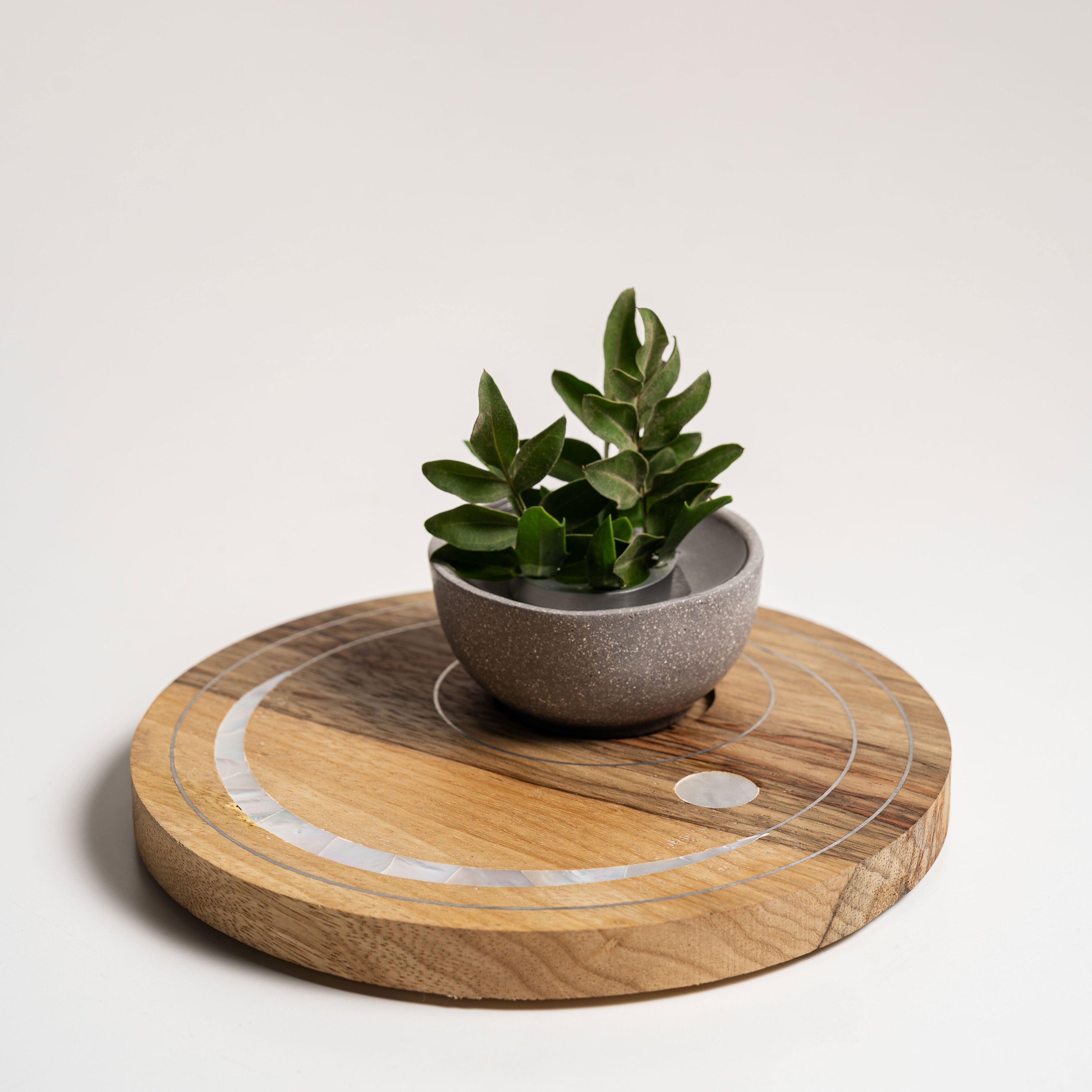 The Circles Serenity Platter